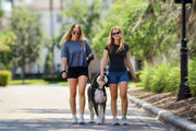 Two women walking a dog on a path with trees and greenery in the background wearing WSI Sports Clothing