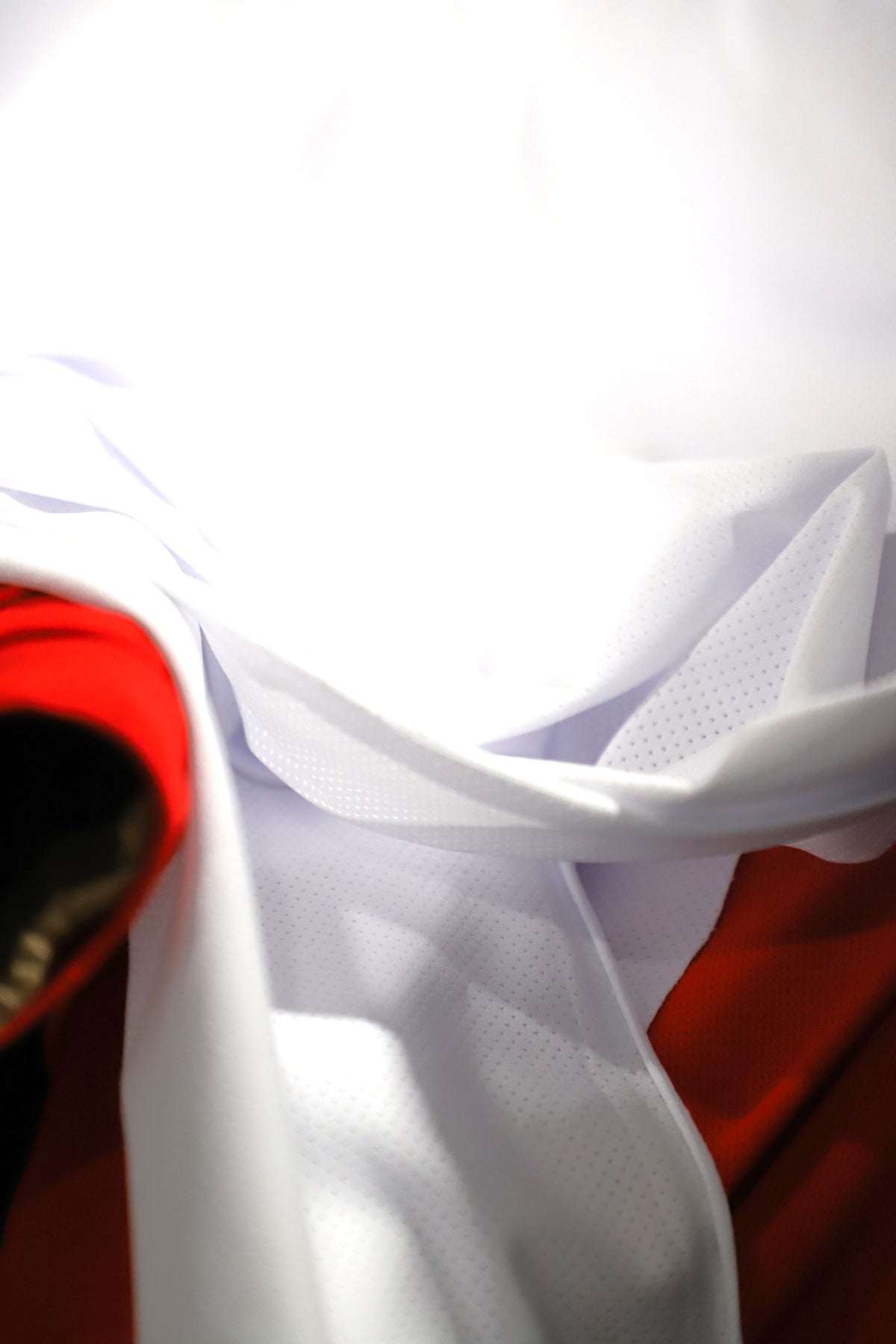 PERFORMANCE MESH