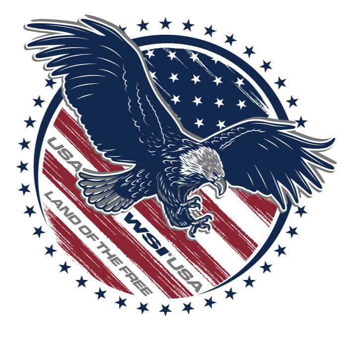 Blue and Red Eagle Print